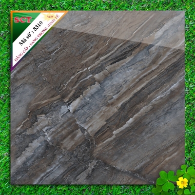 Gạch World Tiles SCT 8310